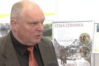 Miliony bez soutěže, zlaté padáky. Odvolaný ředitel chce být znovu šéfem - Seznam Zprávy